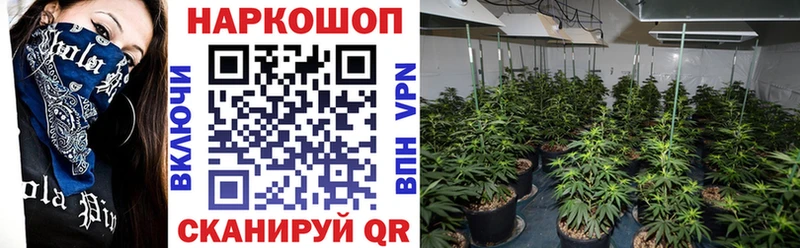 Купить наркотики Кемь ГАШ  A PVP  АМФ  Каннабис  МЕФ 