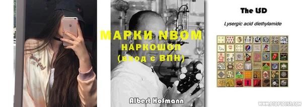 дмт Верея