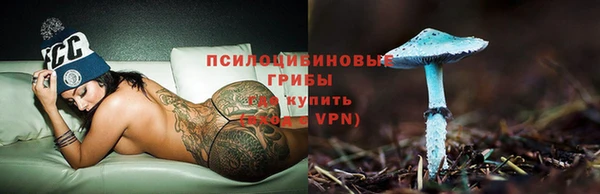 дмт Верея