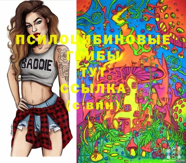 шишки Верхнеуральск