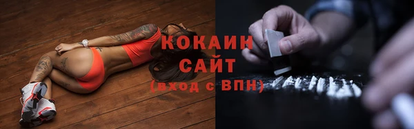 дмт Верея