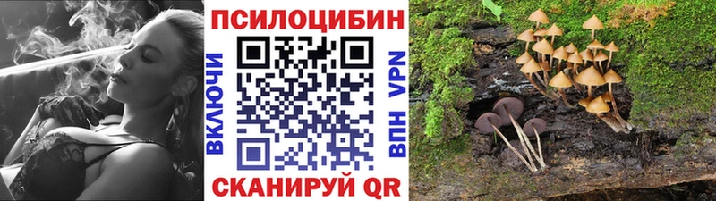 наркошоп  Кемь  Галлюциногенные грибы мицелий 