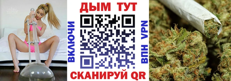 kraken ССЫЛКА  Кемь  МАРИХУАНА сатива 